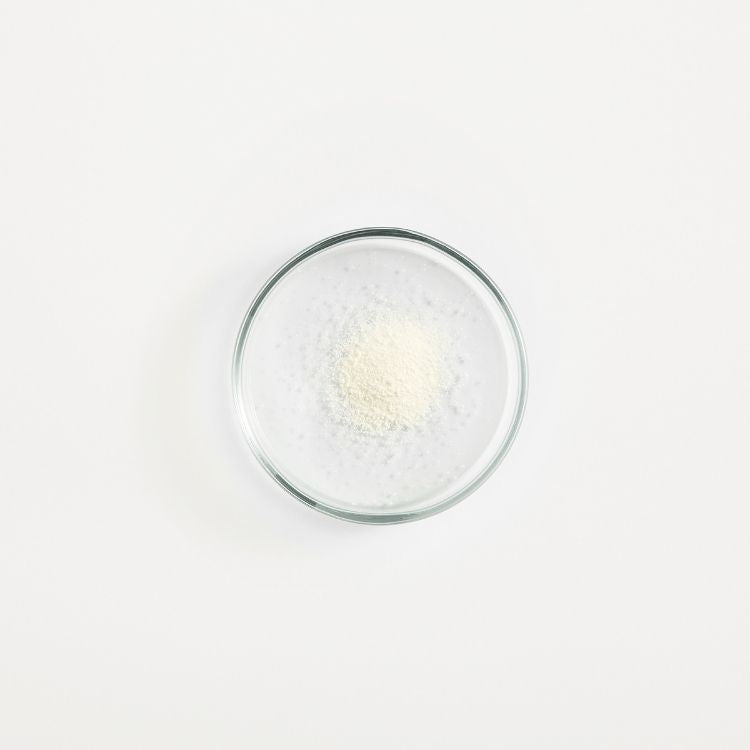 ზოგადი მახასიათებლები