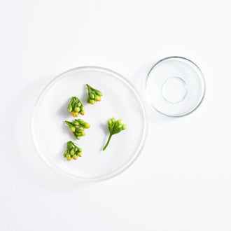 გლიცერინი