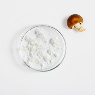 აცეტილ გლუკოზამინი