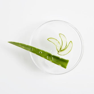 ალოე ვერა