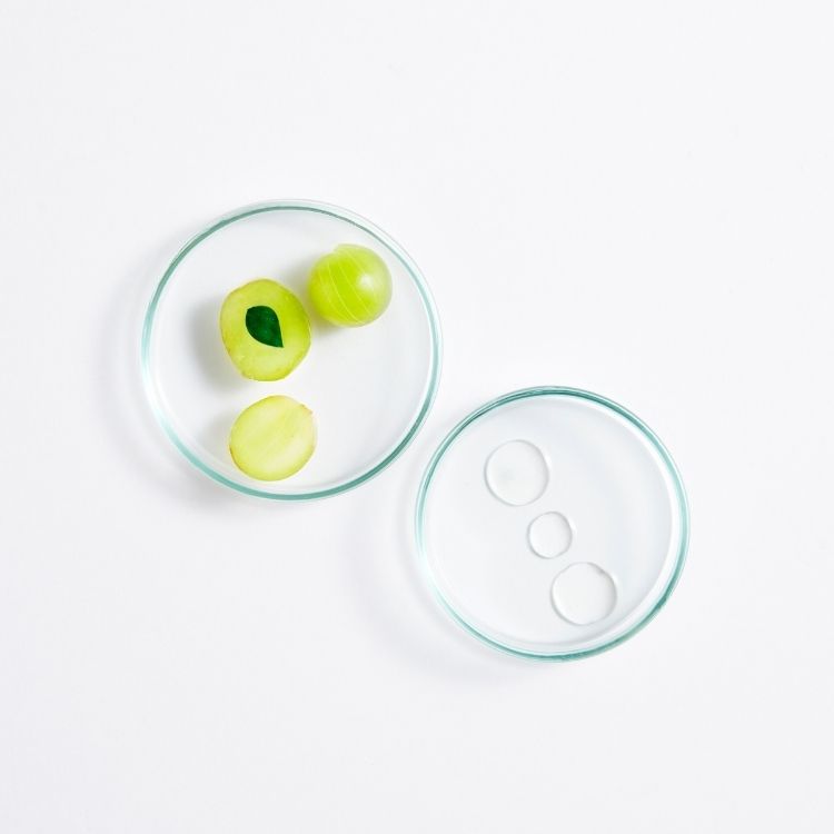 Image for image-amla