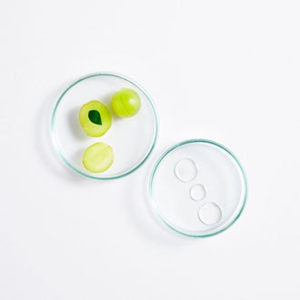 ამლა (ექსტრაქტი)