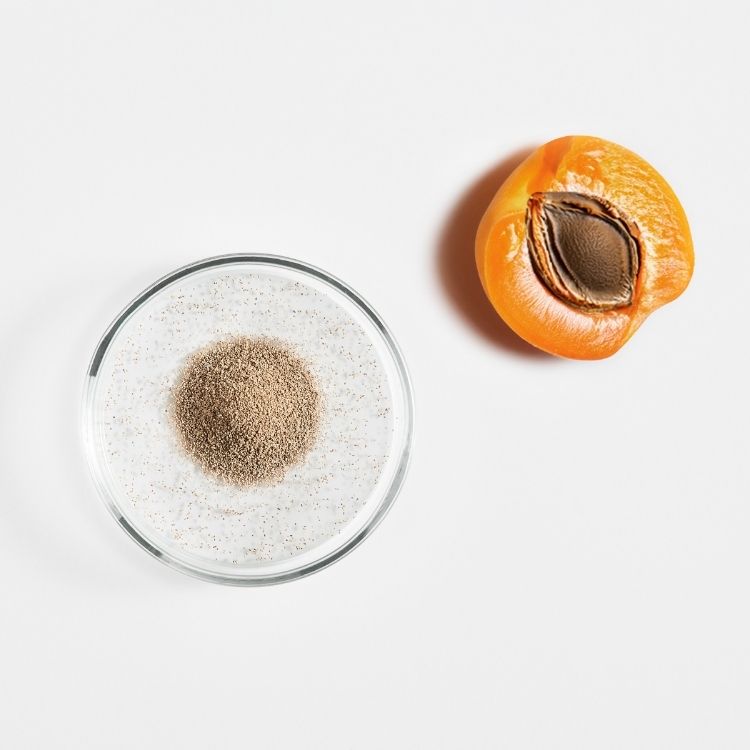 Image for image-apricot-kernels