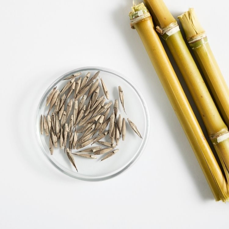 Image for image-bamboo-pellets