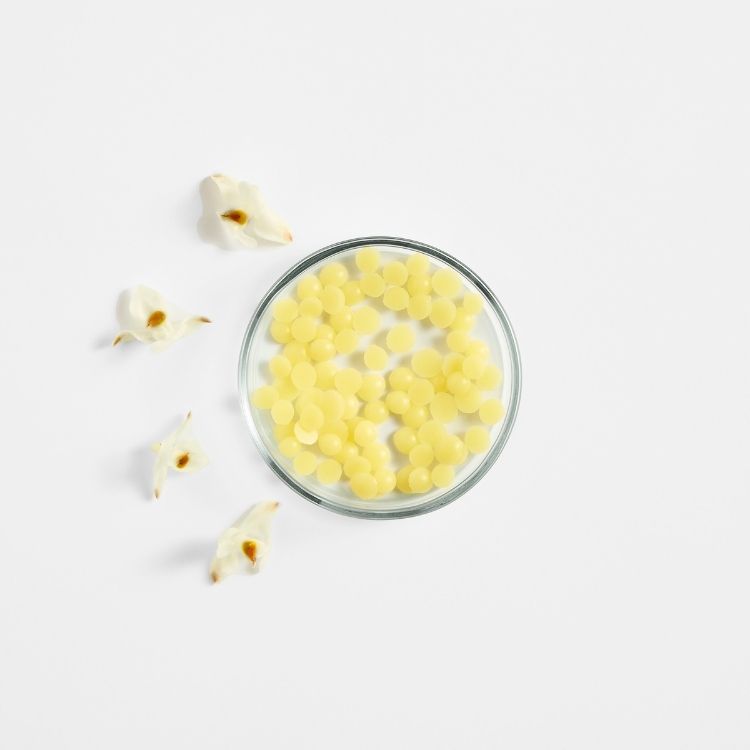 Image for image-candellila-wax