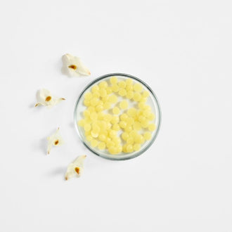 კანდელილას ცვილი