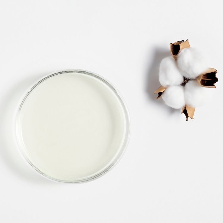 Image for image-cotton