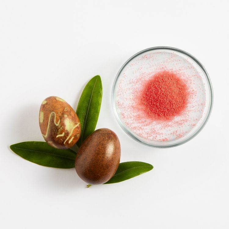 Image for image-jojoba