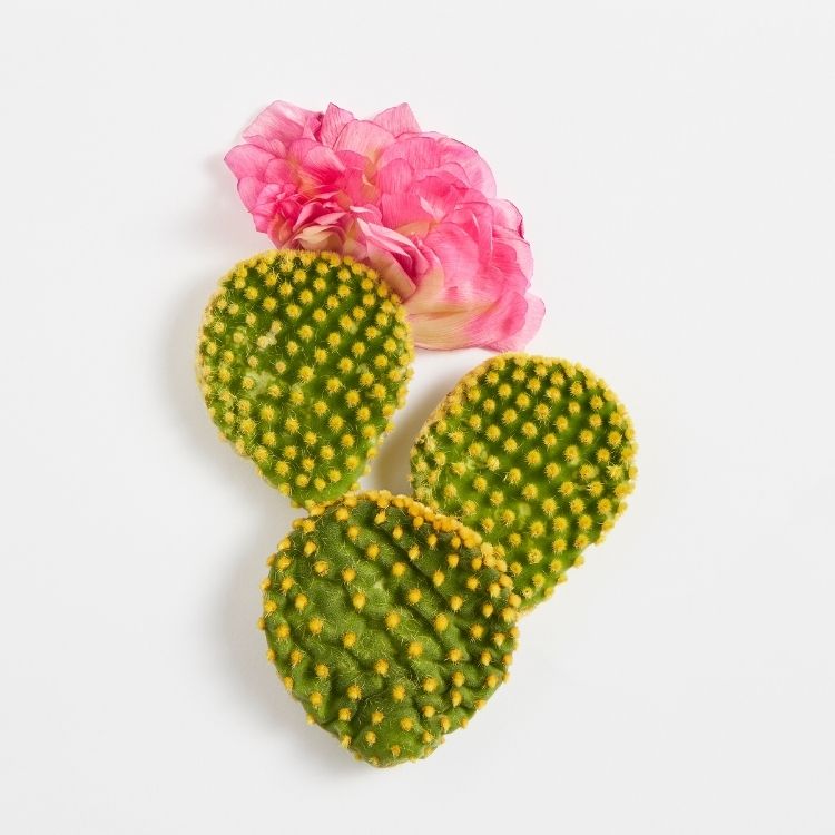 Image for image-keratoregulator