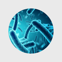 ლიზინის დენდრიმერი