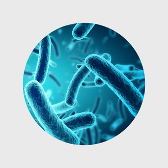 ლიზინის დენდრიმერი