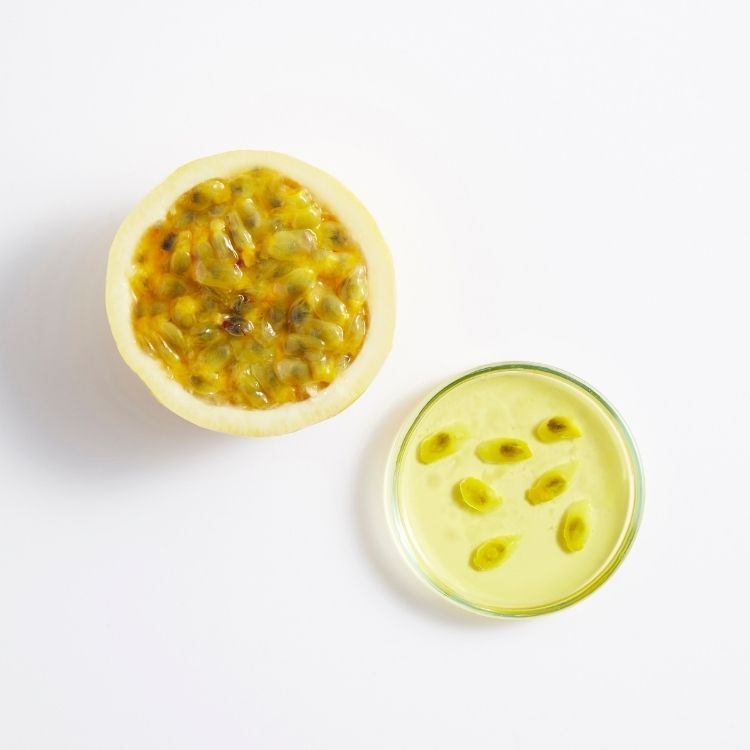 Image for image-maracuja