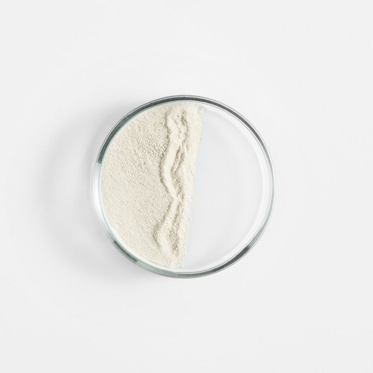 Image for image-marine-prebiotic