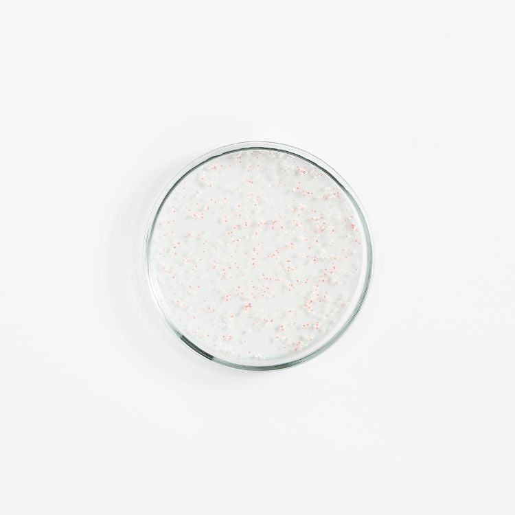 Image for image-micro-grains-of-jojoba-and-cellulose