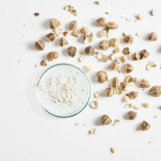 მორინგა (ექსტრაქტი)