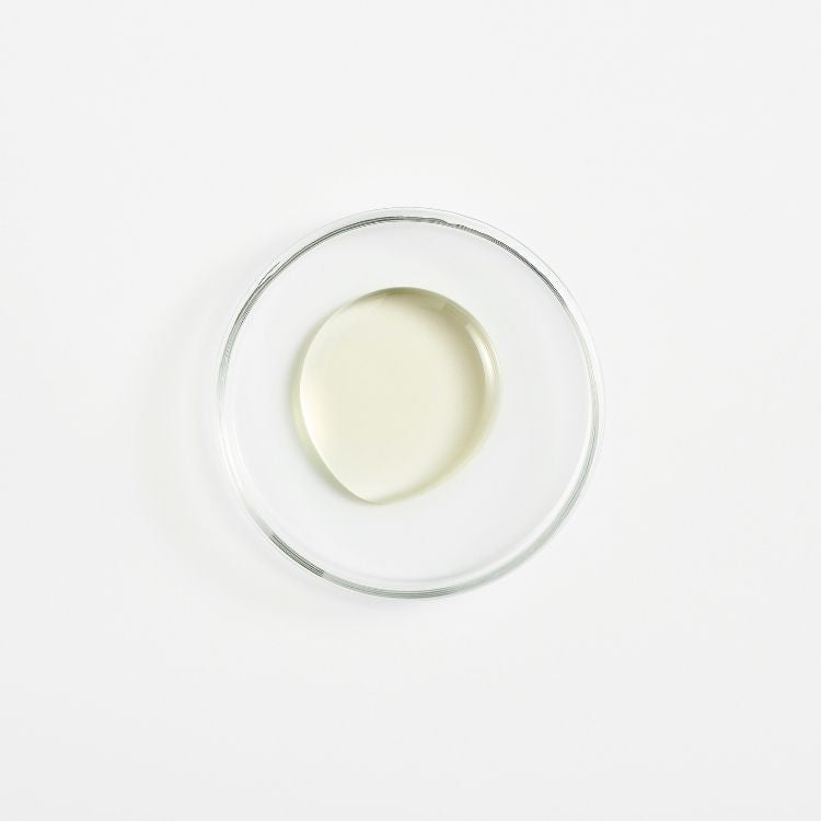 Image for image-polyglucoside-complex