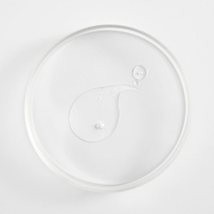 Image for image-polysaccharide-matrix
