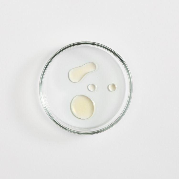 Image for image-safflower