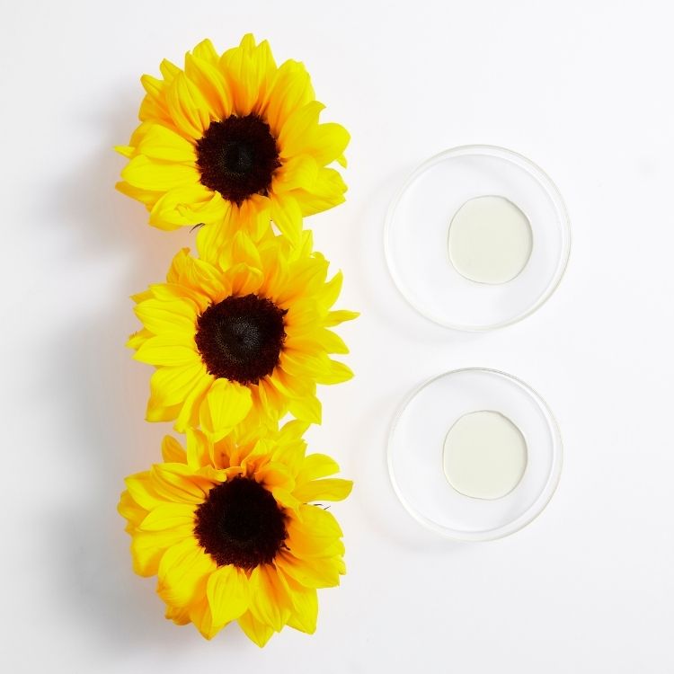 Image for image-sunflower