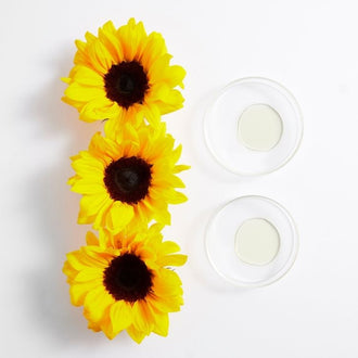 მზესუმზირის ზეთი